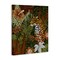 Stupell Industries Hibiscus Jungle Leopard Canvas Wall Art Design by Cat Thurman Designs